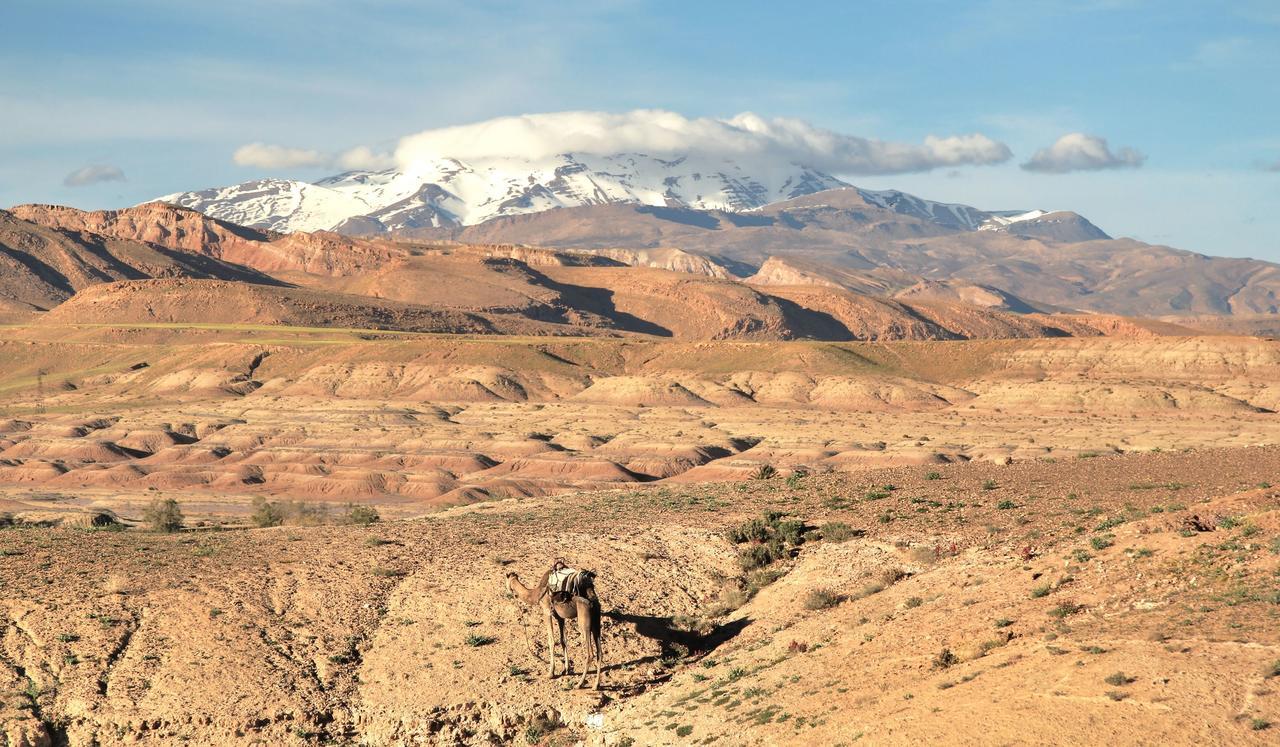 Kasbah Tifaoute Ait Ben Haddou Bed & Breakfast Exterior photo